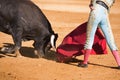 Bullfighter with the Cape in the Bullfight