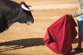 Bullfighter with the Cape in the Bullfight