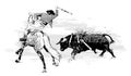 Bullfighter on horse with bull during corrida in Portugal