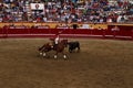 A Bullfighter on horseback rounds his target