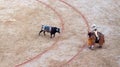 Bullfighting in arena Toros