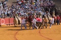 Bullfighting match in Plaza de toros de Sevilla Bullring in Seville, Spain