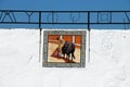 Bullfighting picture on Mijas bullring wall. Royalty Free Stock Photo