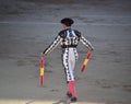 Bullfight in spain with Big black bull in the spanish bullring Royalty Free Stock Photo