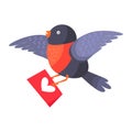 Bullfinch Bird with Red Chest Hold Love Envelope