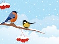 Bullfinch and bird Tit on branch Rowan tree under the snowfall. For Christmas decoration, posters, banners and winter sales.