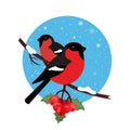 Bullfinch are bird winter. Illustration vector in modern flat design. Round icon.