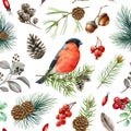 Bullfinch bird winter seamless pattern. Watercolor illustration. Hand drawn bullfinch bird, fir tree branch, cone, red