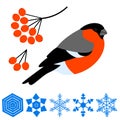 Bullfinch, branch and berries Rowan, Snowflakes