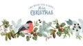 Bullfinch Christmas border