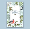 Bullfinch Christmas frame