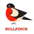 Bullfinch Colorful Geometric Icon