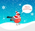 A bullfinch with a festive fur coat and a hat like Santa`s is walking in the snow. Flat style bullfinch with text bubble text Merr