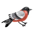 Bullfinch icon, cartoon style