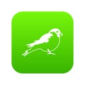 Bullfinch icon digital green