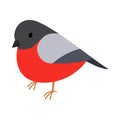 Bullfinch icon, isometric 3d style