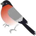 Bullfinch icon, snowbird vector isolated on white