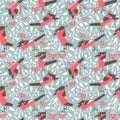 Bullfinch seamless pattern in flat simple style. Doodle floral b