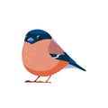 Bullfinch sits. Brown bullfinch in the nature habitat. Pyrrhula pyrrhula. Wildlife scene with songbird. Vector cartoon