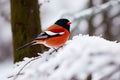 Bullfinch on a tree branch in the winter forest. Generative Ai