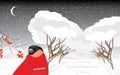 Bullfinch in the winter park. Christmas card