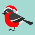 Bullfinch winter red feather bird. Santa hat. Cute cartoon funny character. Royalty Free Stock Photo