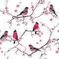 Bullfinches on the sakura branch seamless vector pattern Royalty Free Stock Photo