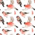 Bullfinches watercolor seamless digital paper
