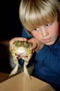 Bullfrog