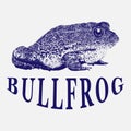 Bullfrog vintage logo illustration, graphic, vector, design, art, animal, wildlife, tropical, symbol, toad, frogs cartoon, black,
