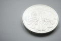 EU silver Philharmoniker bullion coin back view