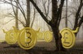 Bullish currency lost in foggy forest 3d illustration