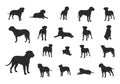 Bullmastiff dog silhouette,Bull mastiff silhouettes, Dog silhouettes, Bullmastiff clip art