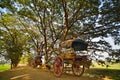 Countryside.Bagan Royalty Free Stock Photo