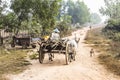 Bullock cart