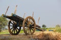 Bullock cart near a paddy field Royalty Free Stock Photo