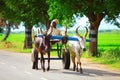 Bullock cart Royalty Free Stock Photo