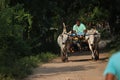 Bullock cart ride on a rural road in the Southern India Royalty Free Stock Photo