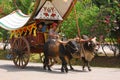 Bullock cart ride Royalty Free Stock Photo