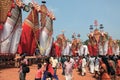 Bullock effigies in the Shivratrhri festival