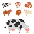 Bulls cows farm animal character vector illustration cattle mammal nature wild beef agriculture. Royalty Free Stock Photo