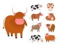 Bulls cows farm animal character vector illustration cattle mammal nature wild beef agriculture. Royalty Free Stock Photo