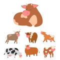 Bulls cows farm animal character vector illustration cattle mammal nature wild beef agriculture. Royalty Free Stock Photo