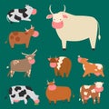 Bulls cows farm animal character vector illustration cattle mammal nature wild beef agriculture. Royalty Free Stock Photo