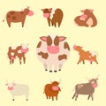 Bulls cows farm animal character vector illustration cattle mammal nature wild beef agriculture. Royalty Free Stock Photo