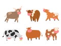 Bulls cows farm animal character vector illustration cattle mammal nature wild beef agriculture.