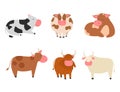 Bulls cows farm animal character vector illustration cattle mammal nature wild beef agriculture.