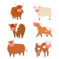 Bulls cows farm animal character vector illustration cattle mammal nature wild beef agriculture.