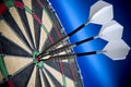 Bulls eye Royalty Free Stock Photo