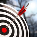 Bulls eye Shot Shows Excellence And Skill Royalty Free Stock Photo